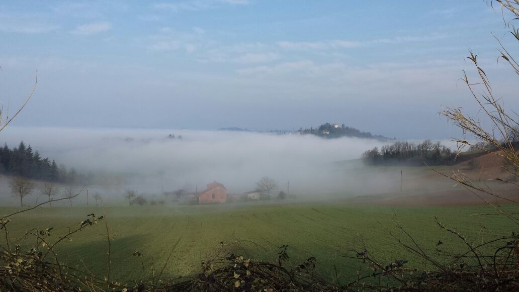 La nebbia rende splendidi i paesaggi alessandrini [FOTO]