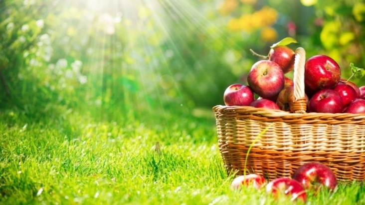 Ultimo weekend di marzo, alla scoperta di mercatini e fiere