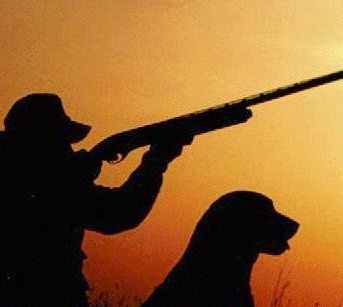 Apertura della caccia posticipata al 4 ottobre. Dal 15 aprile prelievo selettivo per i cinghiali