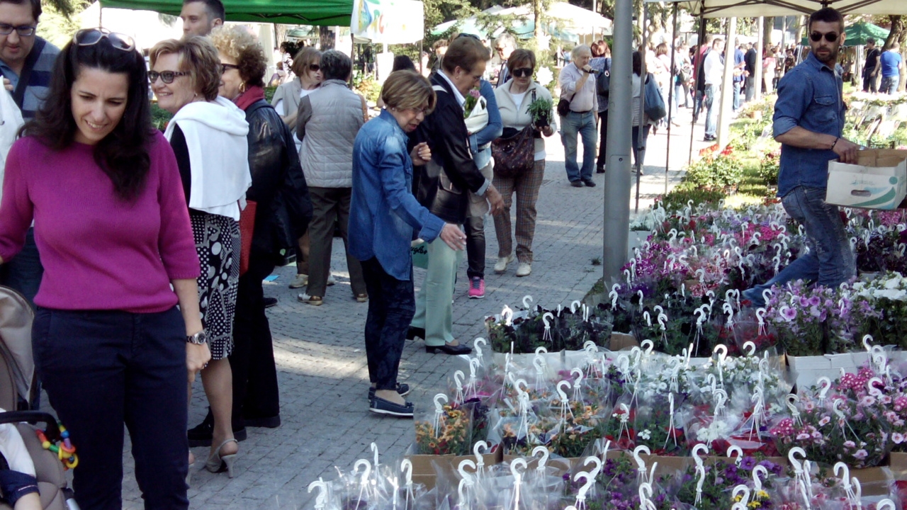 Ad Alessandria sbocciano i colori di “Floreale”