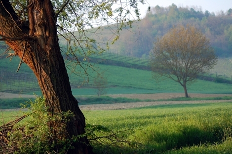 A Vinchio si apre un week end di pic-nic nei casotti