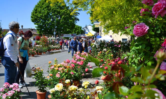 Una domenica in Monferrato tra “Riso & Rose” [FOTO]