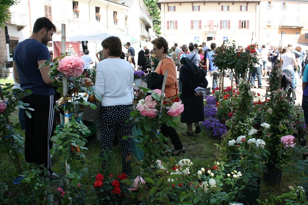 Oltre 45mila visitatori per il primo week end di “Riso & rose”   