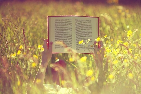 Libri e cibi protagonisti oggi a “Librinfesta”
