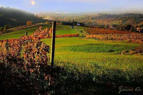 Con “Assaggia Tortona” il tortonese mostra il meglio di sé