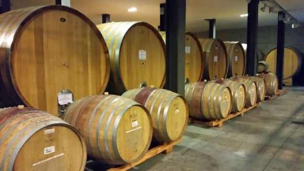 Cantine Aperte e 22^ Festa del Vino a Vinchio-Vaglio