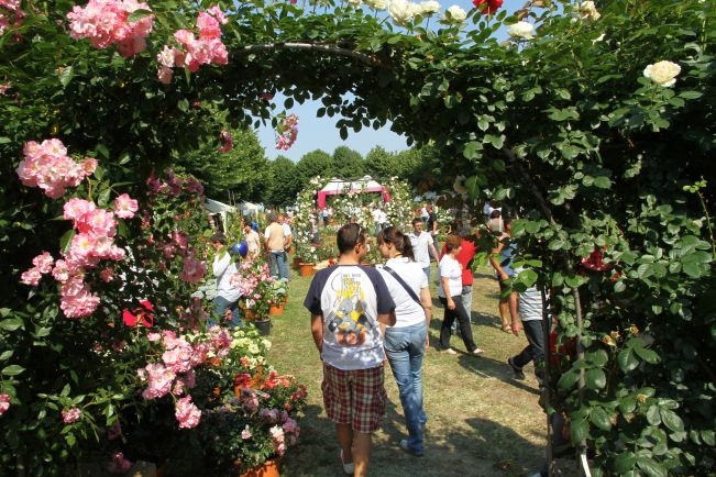 Si apre il secondo week-end di “Riso & Rose”