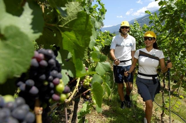 In vacanza tra i vigneti [AUDIO]