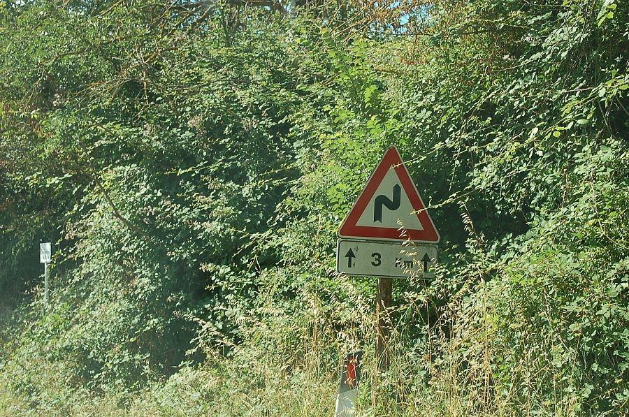 Quando le piante prendono il sopravvento e rendono insicure le strade