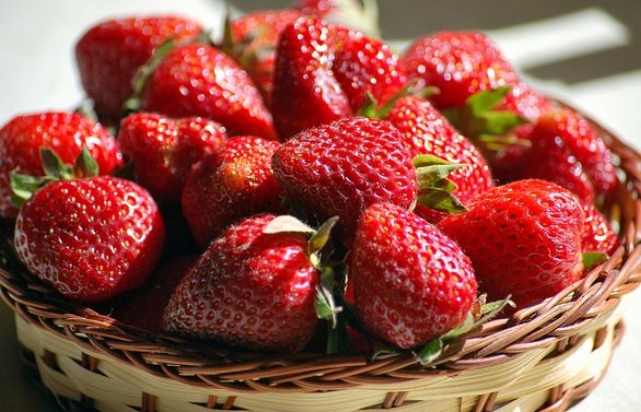 Fragole regine del weekend a Predosa e Borgo San Martino