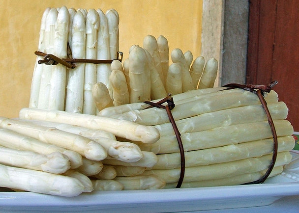 4^ Sagra della Lomellina a Robbio