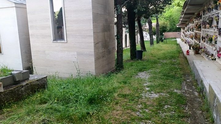 Profughi volontari al lavoro per la cura del Cimitero di Alessandria