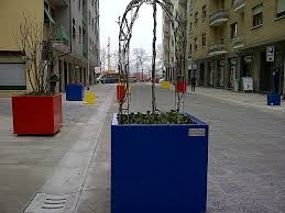 Dalle rose moldave alle magnolie stellate. Ad Alessandria tutti i fiori hanno le spine