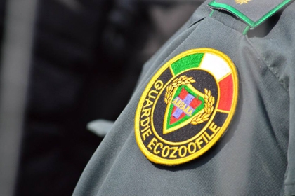 Macabra scoperta in una cascina a Tagliolo: cani morti da mesi e carcasse in congelatori
