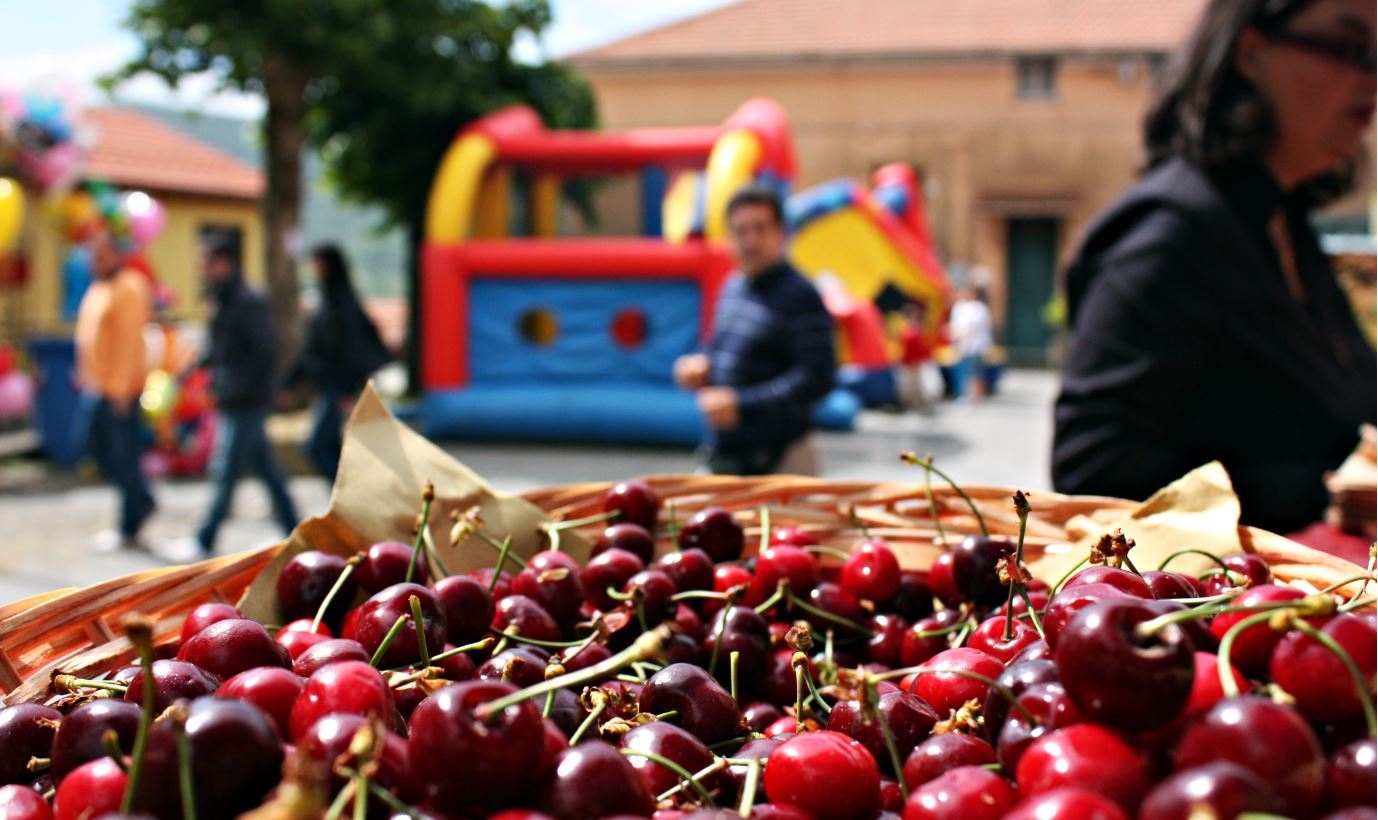 Ecco cosa fare e dove andare oggi in provincia