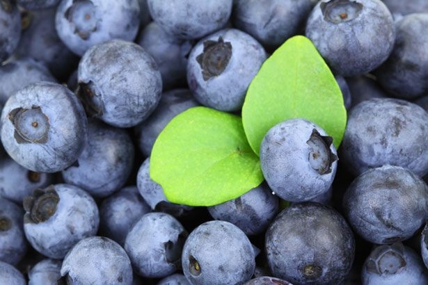 Al via a Martiniana Po la 12^ Sagra dei piccoli frutti