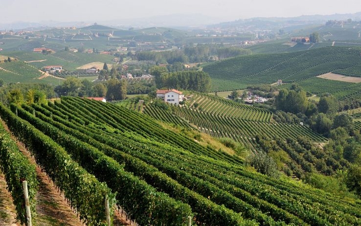 Nel cuore di Milano, a settembre, il Padiglione del Monferrato per promuovere il territorio