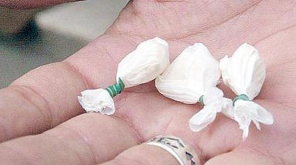 Teneva in casa cocaina e hashish. Pregiudicato casalese denunciato dai Carabinieri