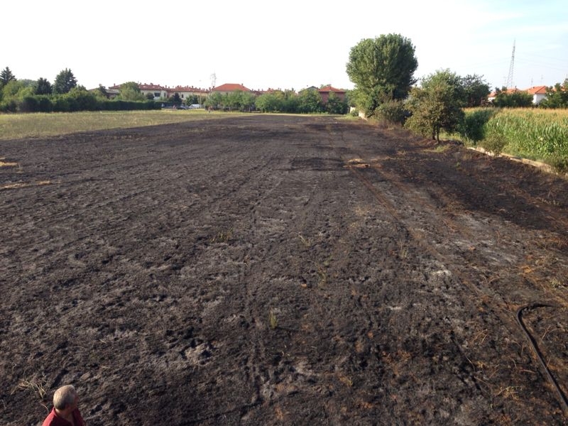 Un intero campo andato in fumo: denunciato il proprietario