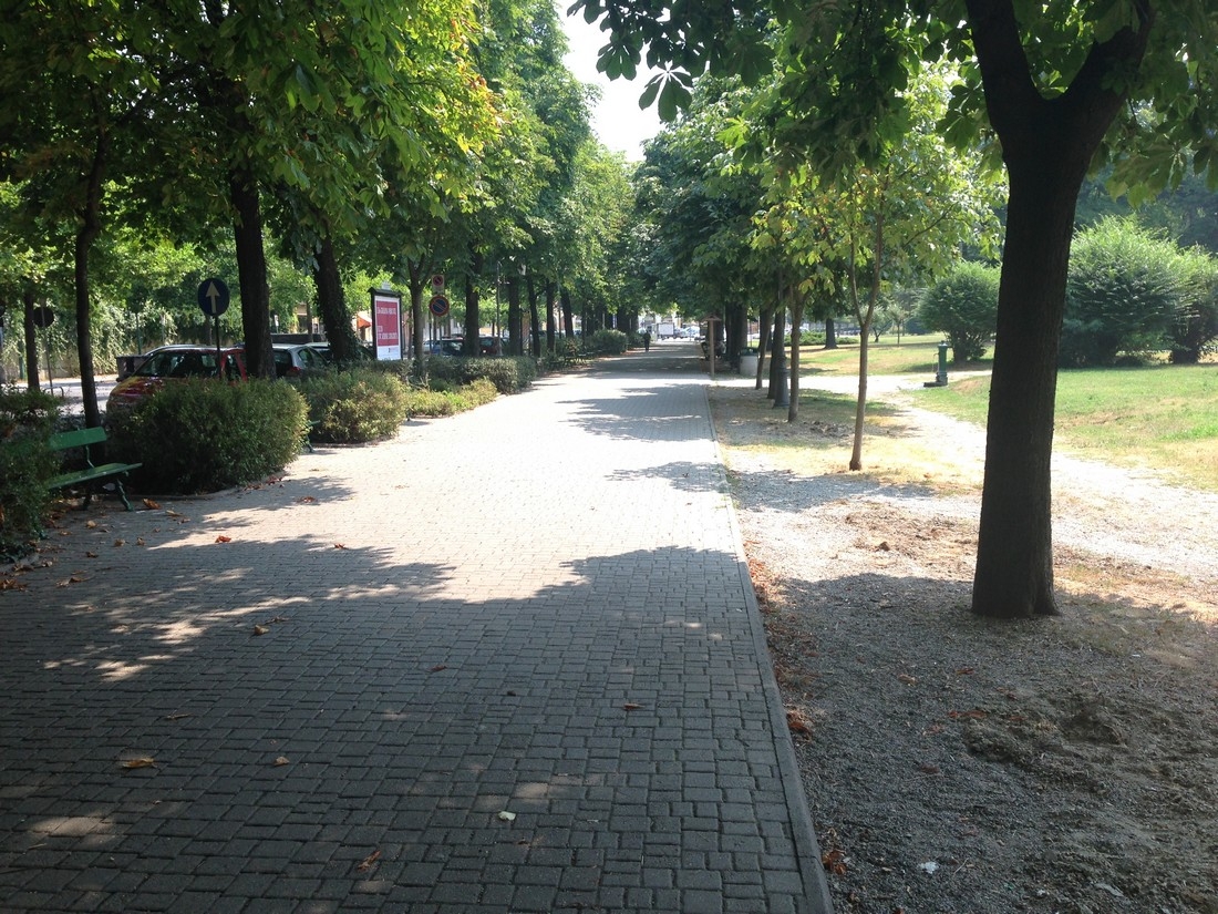 Viale Bistolfi: al via i lavori di riqualificazione