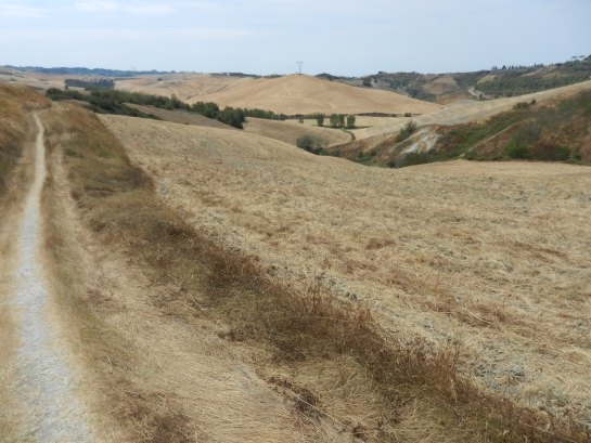Ortaggi, frutta e mais “bruciati” dal sole. Il mondo agricolo in difficoltà per l’ondata di caldo africano
