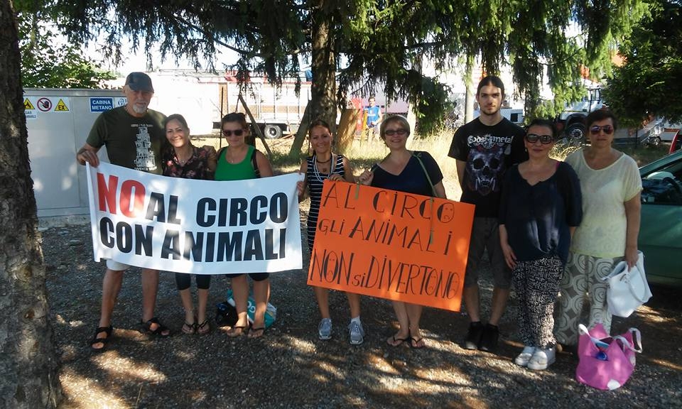 Circo: sequestrati pinguini e pellicani perché in condizioni non idonee
