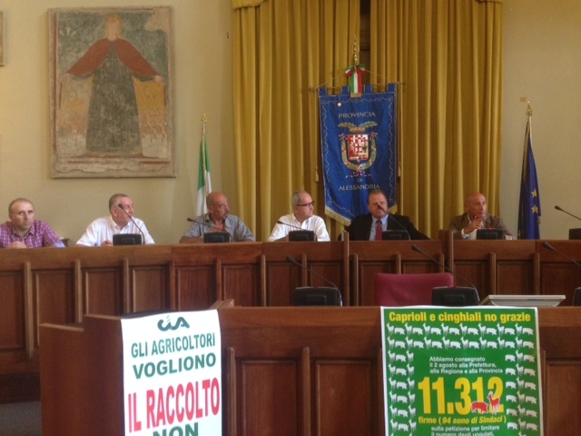 Dall’inizio dell’anno già 100 incidenti stradali causati da ungulati “e i risarcimenti ancora non si vedono”   