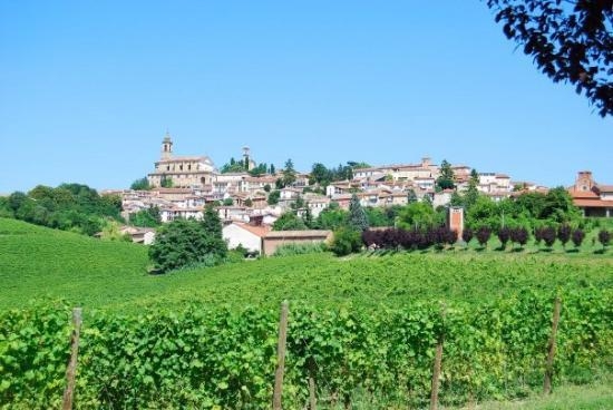 Musica ed enogastronomia per la Festa di San Bartolomeo a Vignale
