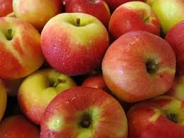 Anche le aziende alessandrine protagoniste a Expo nella settimana dedicata alla frutta