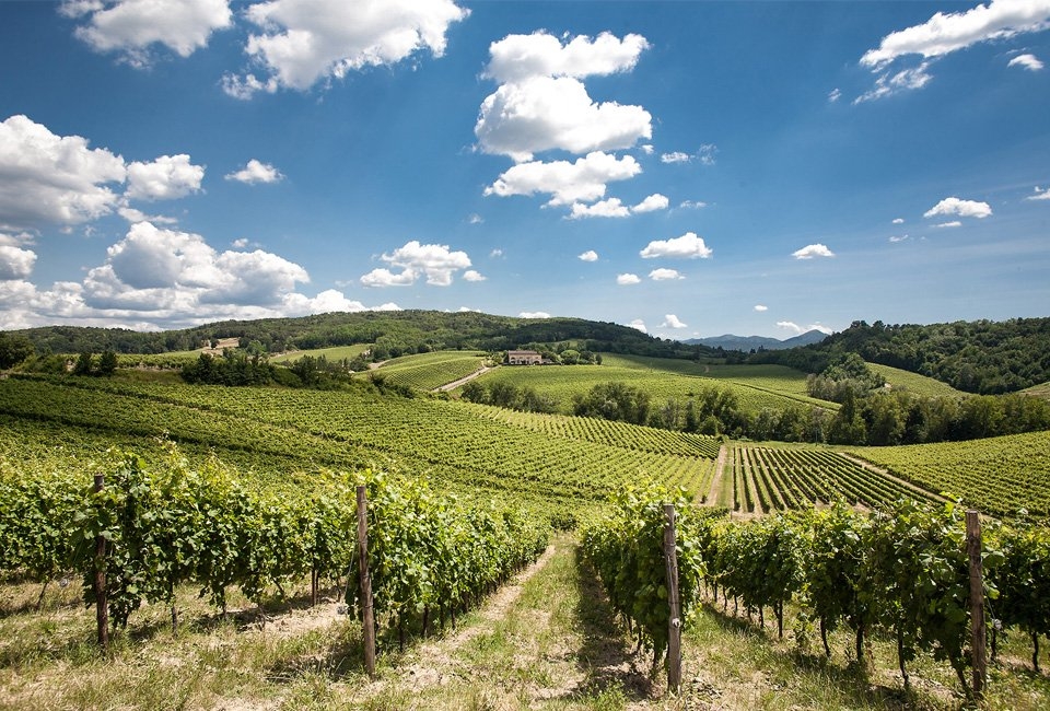 Il Monferrato: un territorio da gustare