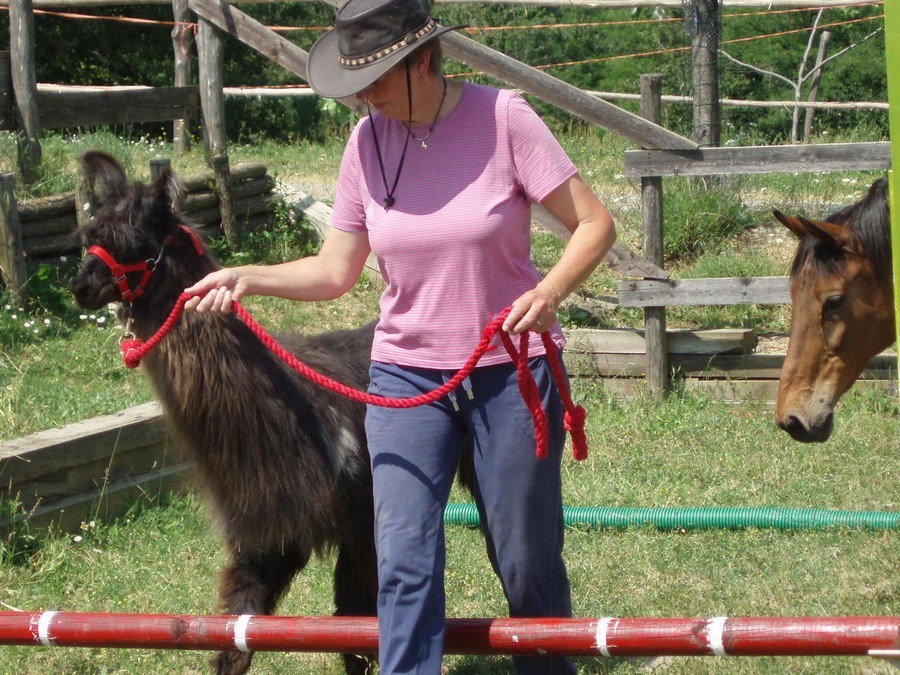 Dall’università bavarese a Cavatore per studiare l’ “animal walk”