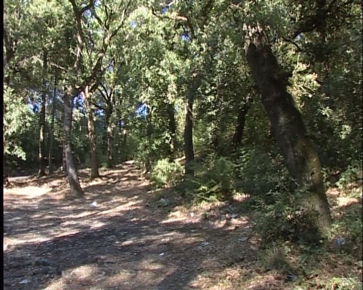 74enne si perde nella zona di Villanova: ritrovato nella notte