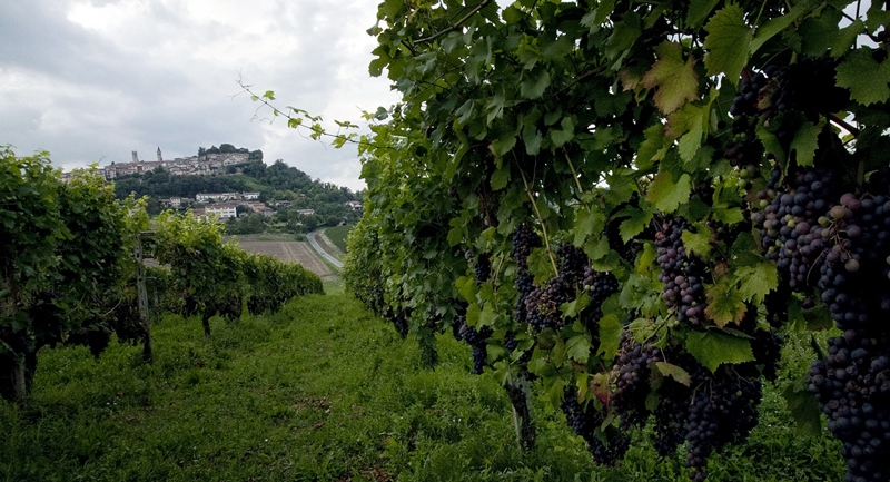 Le migliori iniziative per godersi il Monferrato a fine estate