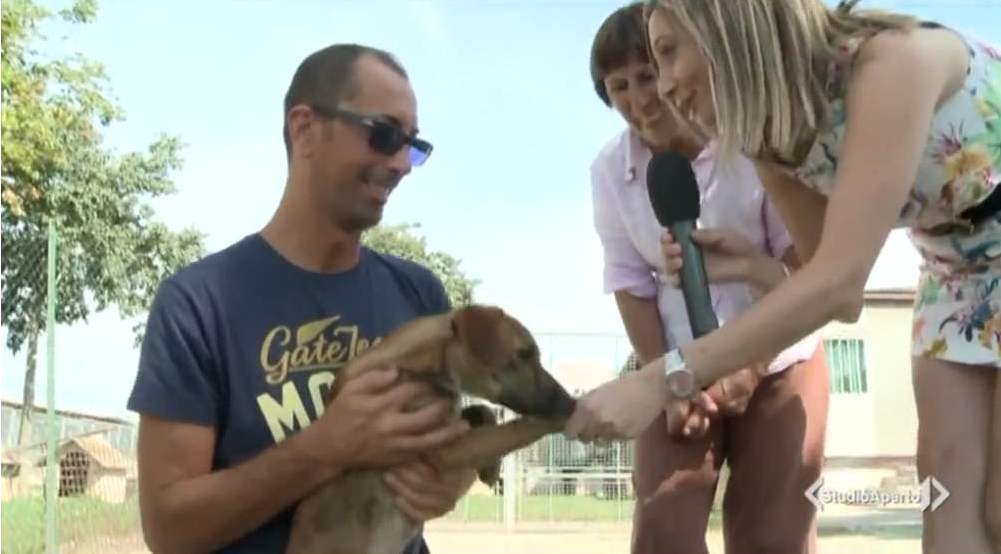 A Castelletto Monferrato adottare un cane conviene