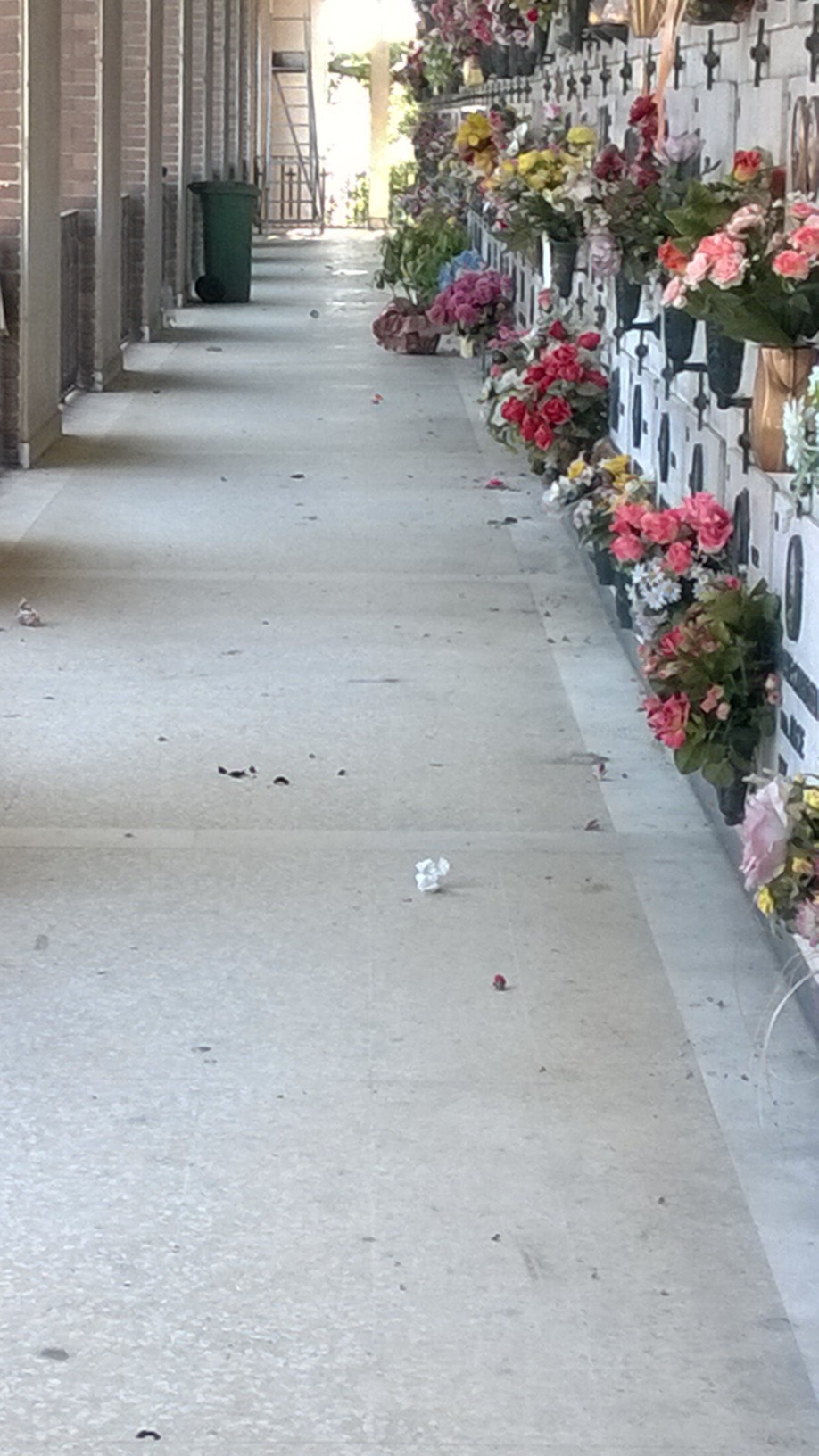 Un’alessandrina invoca maggiore pulizia nel cimitero di Alessandria