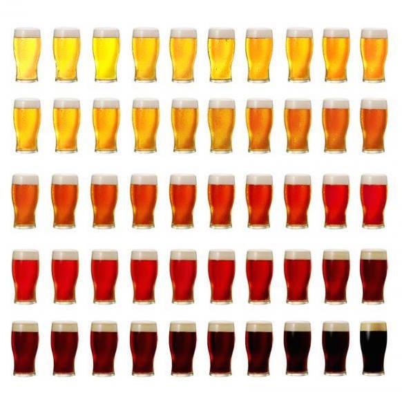 50 birre da assaggiare per 4 giorni alla caserma Valfrè