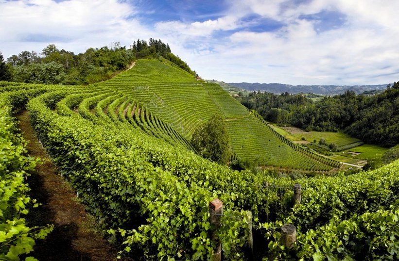 Un ricco ventaglio di eventi tra le colline di Langhe e Roero