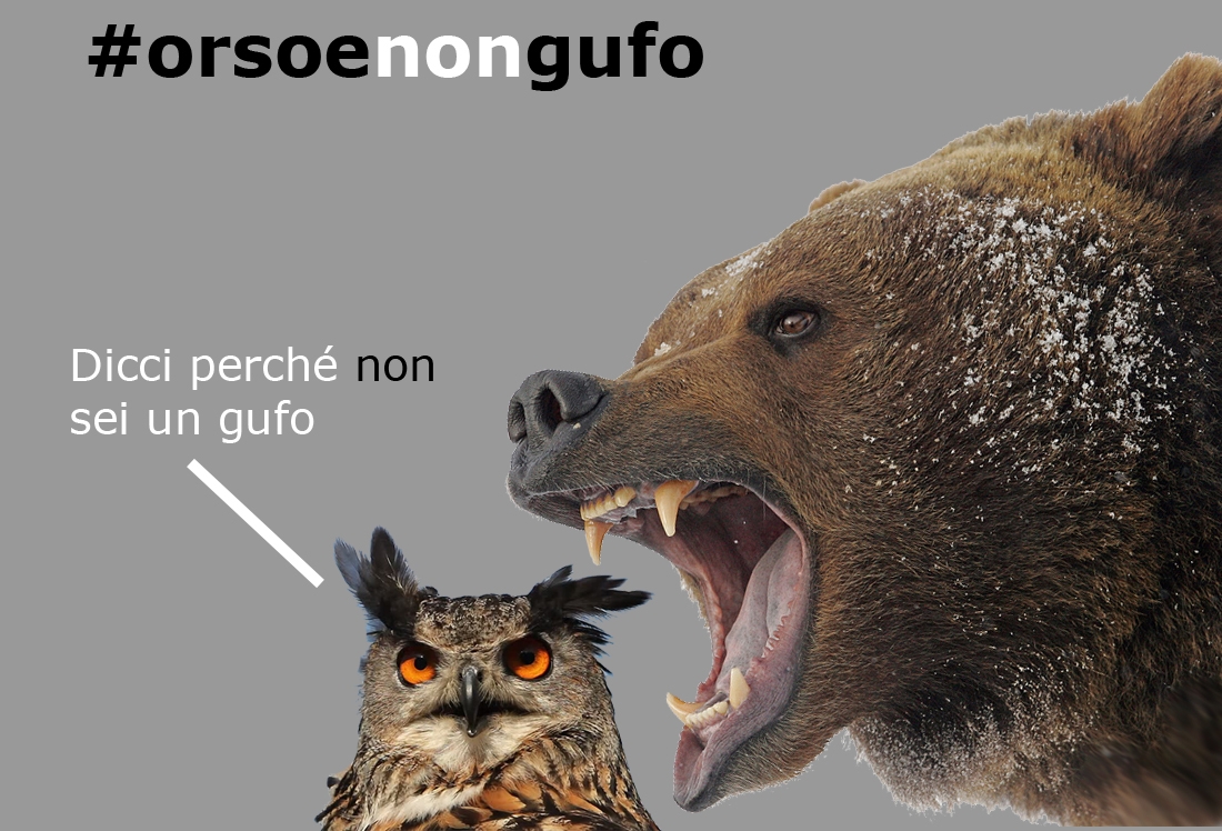 Dicci perchè sei #orsoenongufo e vinci un posto al Moccagatta