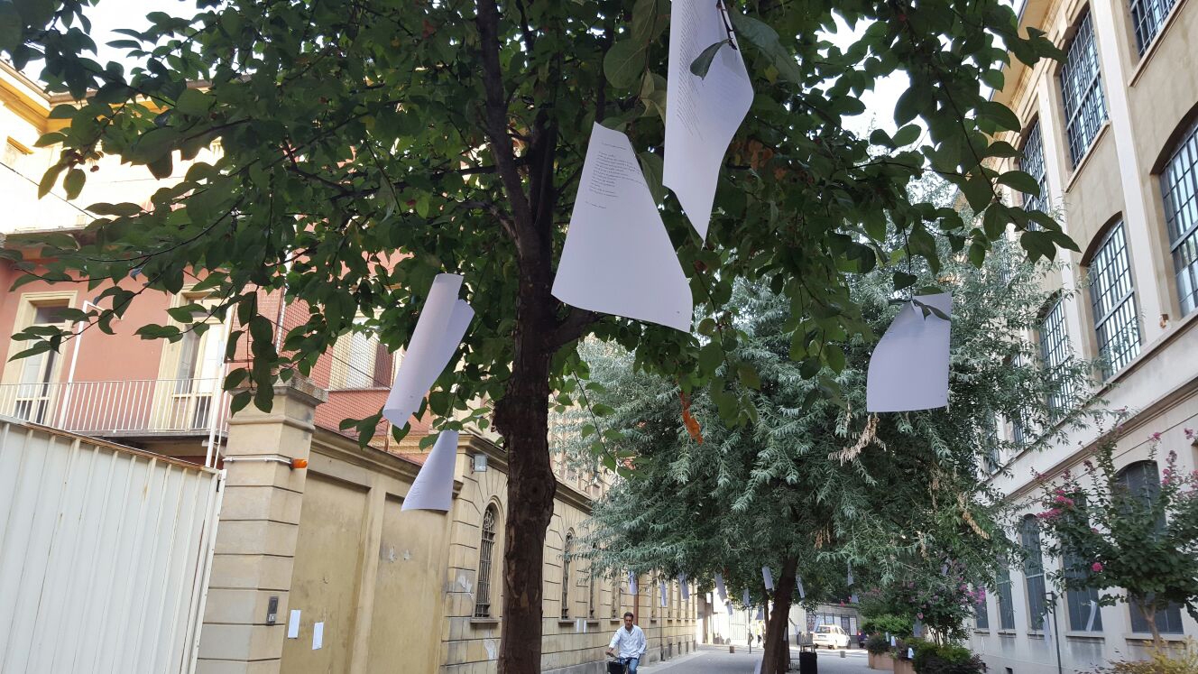 Dagli alberi non frutti ma poesie. La sorpresa davanti all’Università