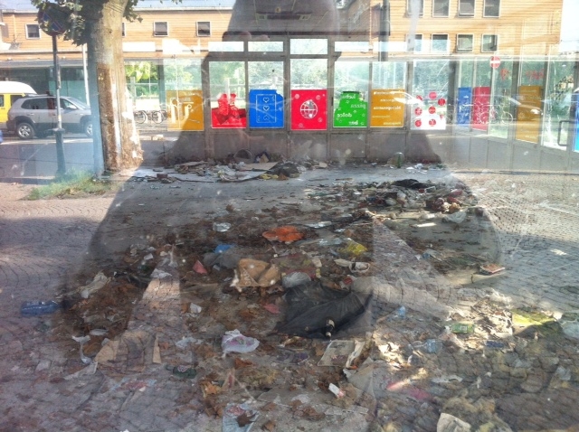Un cittadino denuncia il degrado dei giardini della stazione “ora bisogna intervenire”