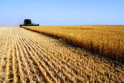 Sul Brennero agricoltori schierati per fermare i prodotti spacciati per ‘made in Italy’