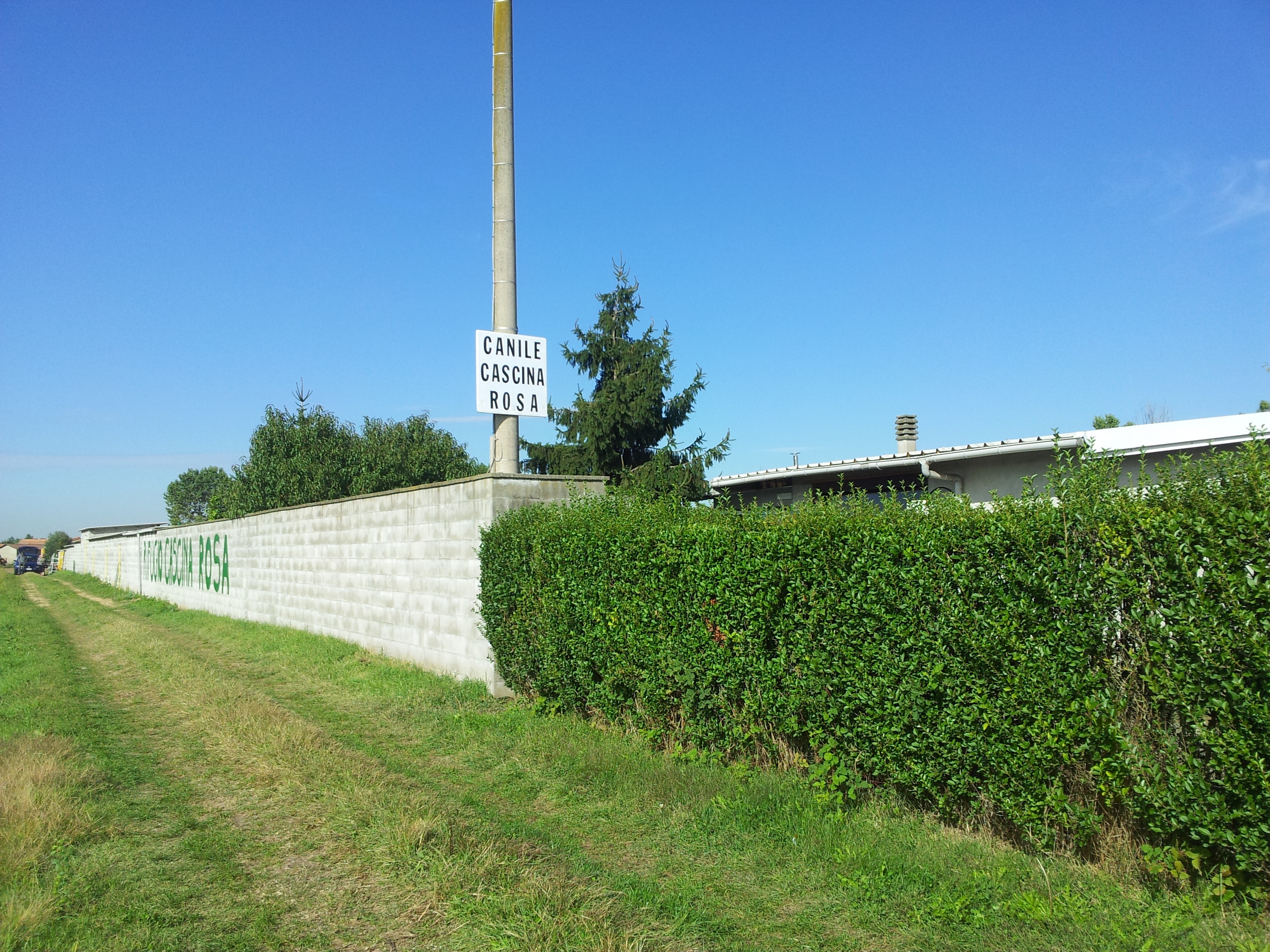 “Cascina Rosa” domenica spegne 18 candeline nel nuovo canile in Strada Pavia