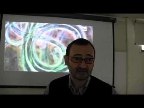 Web e relazioni digitali alla Ludoteca di Alessandria con Michele Marangi