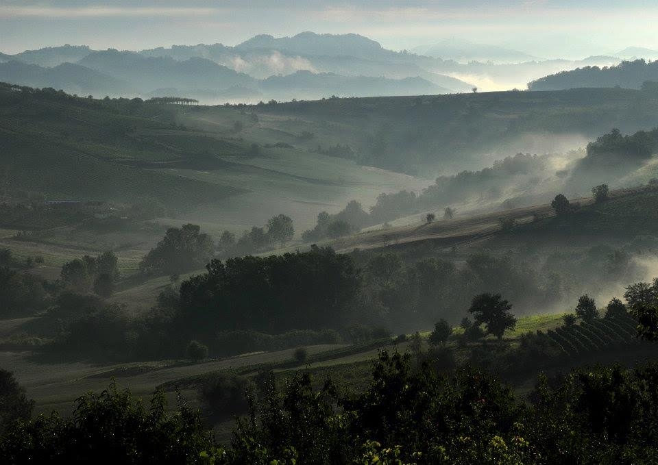 Agricoltori contenti: il Governo torna sui propri passi