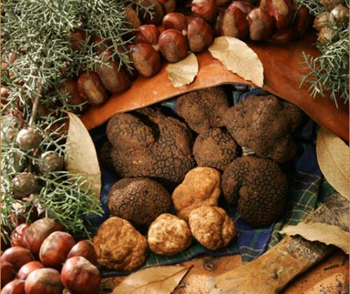 Tartufi o castagne? Scegliete il vostro evento della domenica