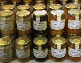 Le varie sfaccettature del miele vanno in scena a Piacenza