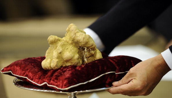 A Trisobbio si celebra sua maestà il tartufo.Torna “Tarsobi, tartufi & vino”
