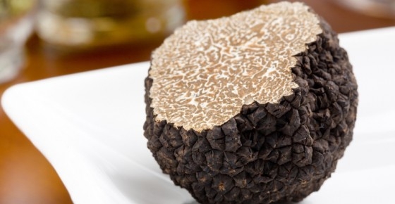 Acqui & Sapori mette in mostra le specialità enogastronomiche e i tartufi del territorio