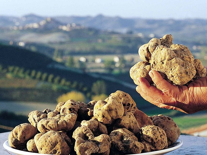 A Bergamasco torna la Fiera Nazionale del Tartufo