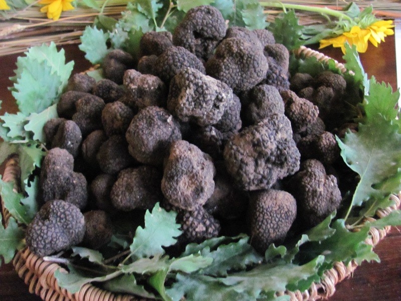A Bergamasco è tempo di tartufo